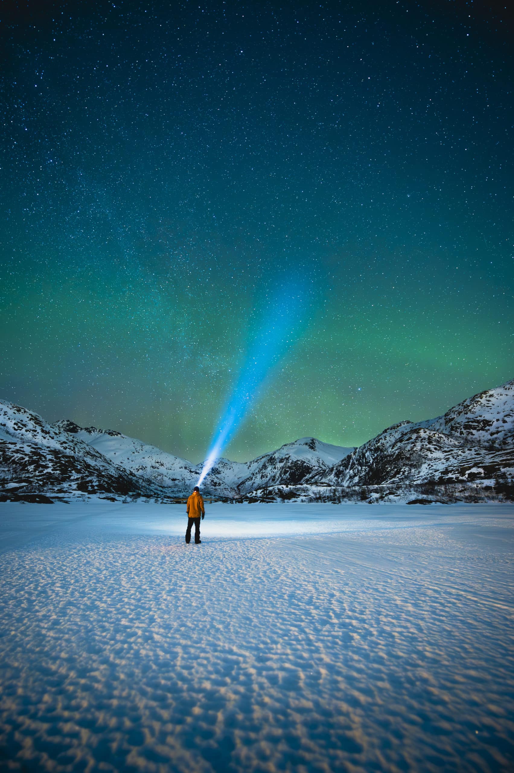 Kate Middleton porno komikslar