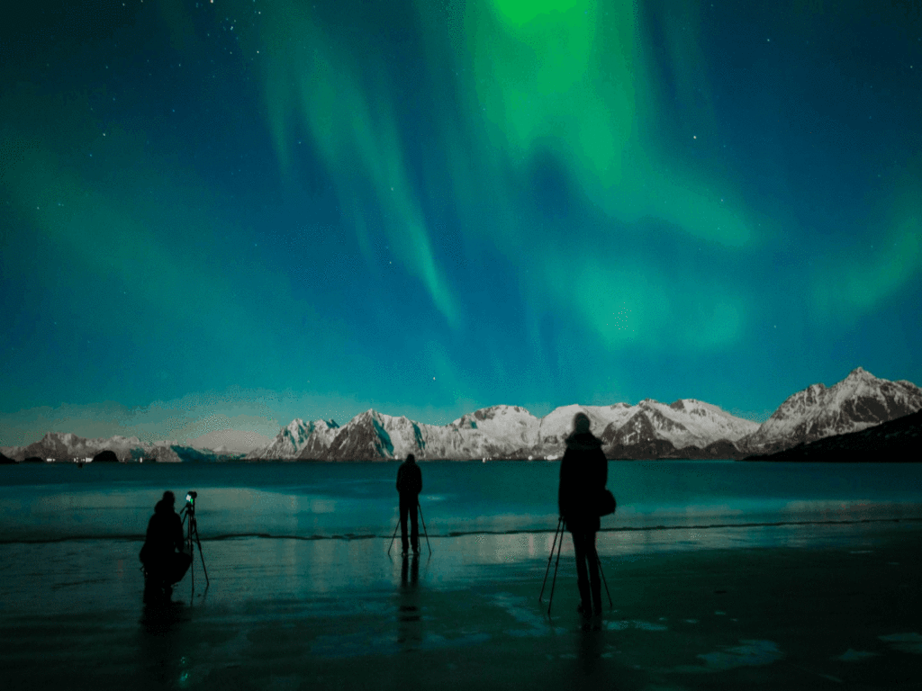 Silhuetter av mennesker på en strand under en himmel full av nordlys
