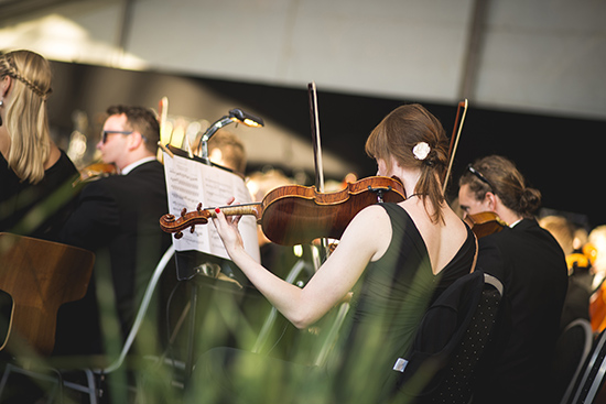 Violinist